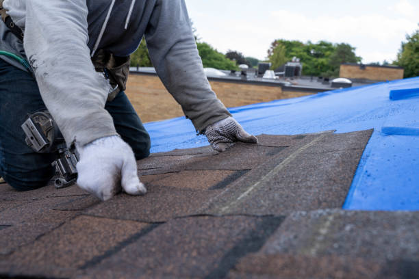 Roof Insulation in Marysville, MI